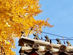 -承恩寺