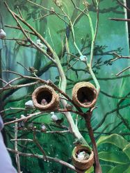 -Zoolung Zoolung动物主题公园(海信广场店)