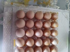 -麦德龙(闵行店)