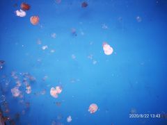 -常州海昌海洋探索馆