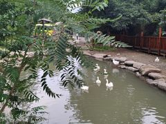 -云丘山景区