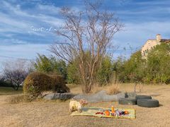 -上海崇明金茂凯悦酒店