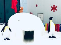 -哈尔滨热雪奇迹