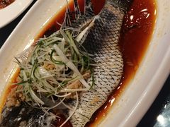 清蒸鲈鱼-百姓渔村(南中环店)