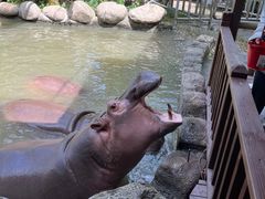 -宁波野生动物园