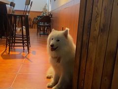 -triple coffee叁杯咖啡