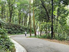 -广州市帽峰山景区