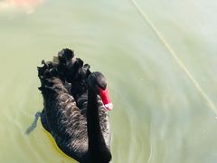 -五缘湾湿地公园