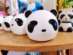 -熊猫屋(宽窄巷子景区店)