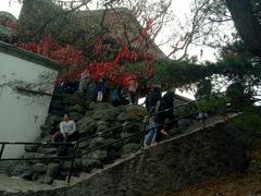 -香山公园-东宫门售票处