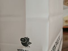 -WHEN PIGS FLY当猪飞