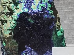 -湖南省地质博物馆