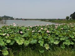 -杏花村文化旅游区