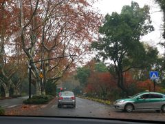 -山外山菜馆(玉泉路店)