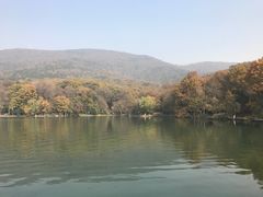 -紫霞湖公园