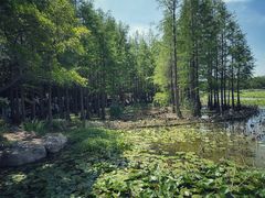 -云龙湖旅游景区