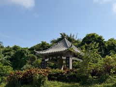 -东澳岛