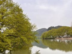 -西湖文化广场
