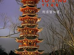 -龙华寺