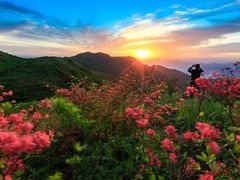 -大围山国家森林公园