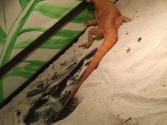 -藦茜花园宠物主题亲子互动体验馆(国顺东路店)