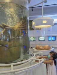 -恐龙探索乐园(磁器口店)