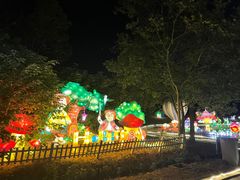 -大塘金香草谷