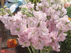 -谷莠子花艺·气球派对·绿植造景·花艺沙龙(金光华广场店)