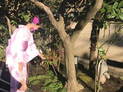 -东京浅草和服体验江户和装工房雅(浅草本店)