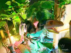 -恐龙探索乐园(磁器口店)