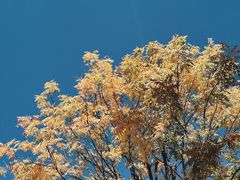 -二哥米线 丽江店