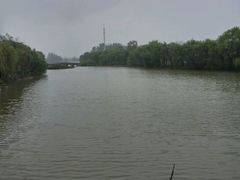 -溱湖国家湿地公园