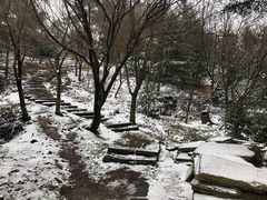 -四明山国家森林公园