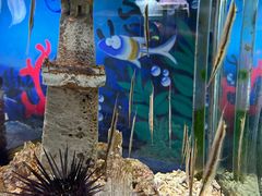 -太平洋海底世界