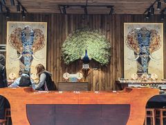 -西双版纳原始森林公园