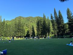 -深圳仙湖植物园