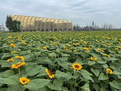 -中国天府农业博览园