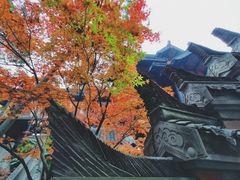 -鱼桥巷·美学川菜