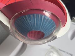 -武汉大学附属爱尔眼科医院(湖北总院)