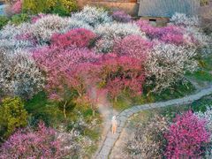 -西溪国家湿地公园