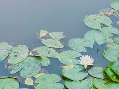 -塘沽森林公园