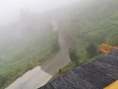 -紫鹊界梯田景区