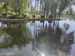 -莲花池公园