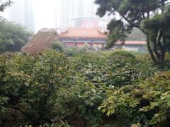 -西苑公园