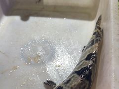 -徐记海鲜(大雁塔|金都店)