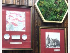 -双合园·海鲜水饺青岛菜(万佳广场店)