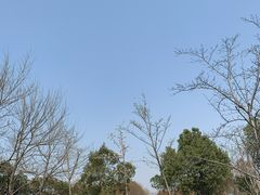 -尚贤河湿地