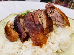 -沙田新强记烧鹅海鲜酒家