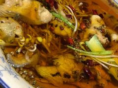 江鱼做水煮鱼-渝信川菜(工体店)