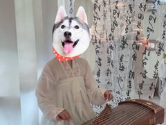 -秘密花园·换装下午茶·团建·沙龙·主题布置